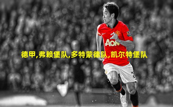 德甲,弗赖堡队,多特蒙德队,凯尔特堡队