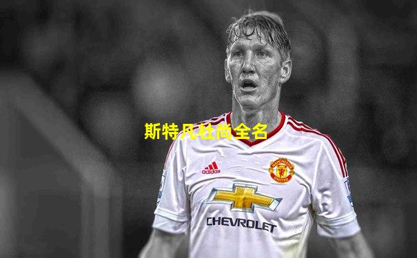 斯特凡杜尚全名