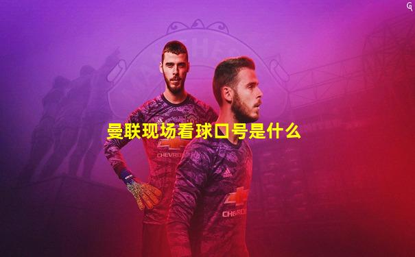 曼联现场看球口号是什么